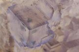 Purple Cubic Fluorite w/ Second Generation Growth - Cave-In-Rock #208826-2